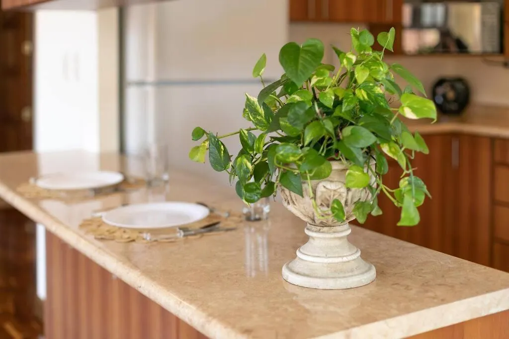 Apartment Dp1, Spacious & Bright Flat, 4 Mins To Cayala Guatemala City Guatemala